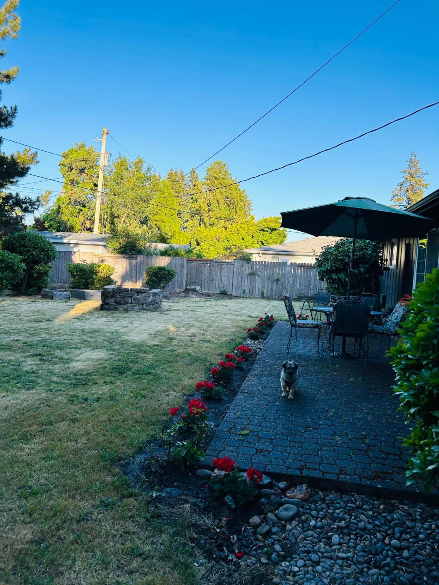 Emerald City 3 Bedroom 1 Bath Home Eugene Exterior foto